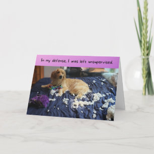 Golden Retriever gör en vacker födelsedag Kort