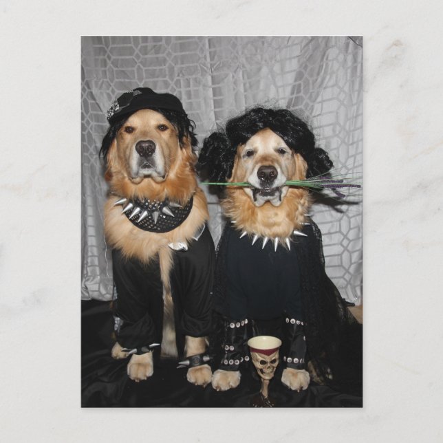 Golden Retriever Goth Stil Vykort (Framsida)