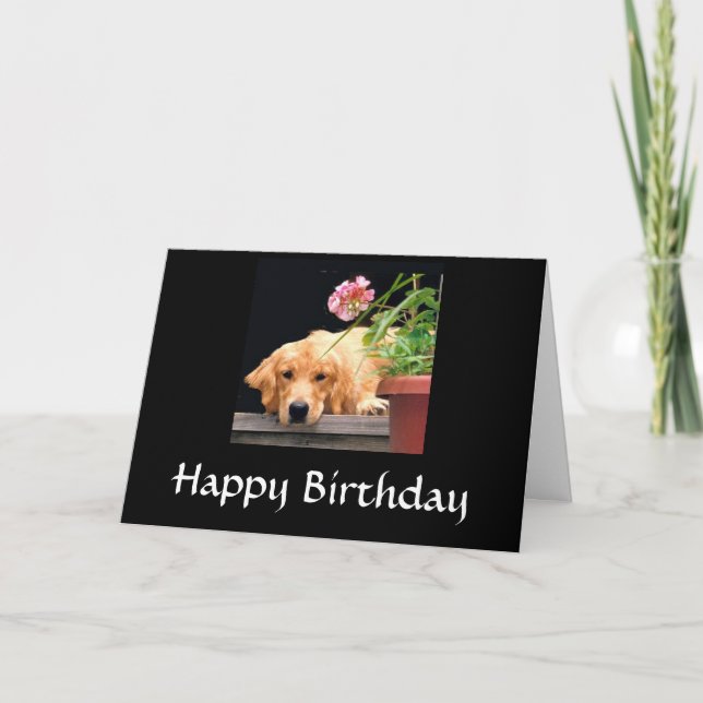 Golden Retriever Grattis på födelsedagen Card Kort (Framsida)