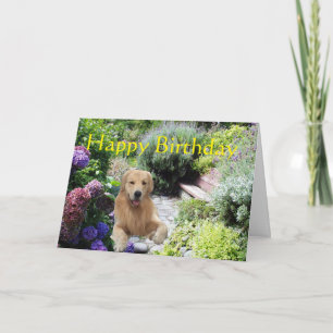 Golden Retriever Grattis på födelsedagen Garden Ca Kort