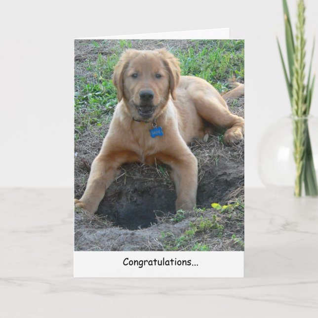 Golden Retriever Grattiss Card Kort (Framsida)