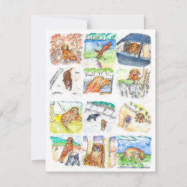 Golden Retriever Greeting Card Julkort