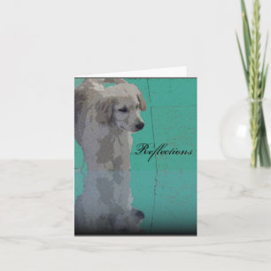 Golden Retriever Greeting Card Kort