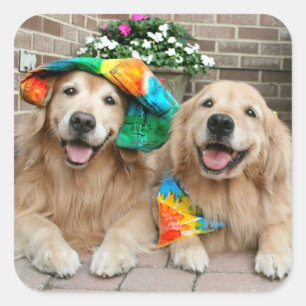 Golden Retriever Groovy Stickers Fyrkantigt Klistermärke