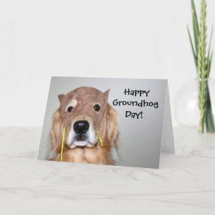 Golden Retriever Groundhog Day-kort Kort