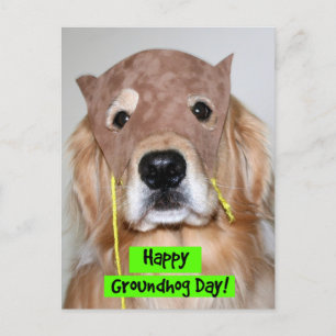 Golden Retriever Groundhog Day Vykort