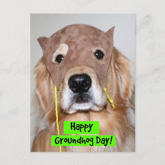 Golden Retriever Groundhog Day Vykort (Framsida)