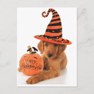 Golden Retriever Halloween-design Vykort