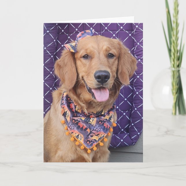 Golden Retriever Halloween greeting card Kort (Framsida)