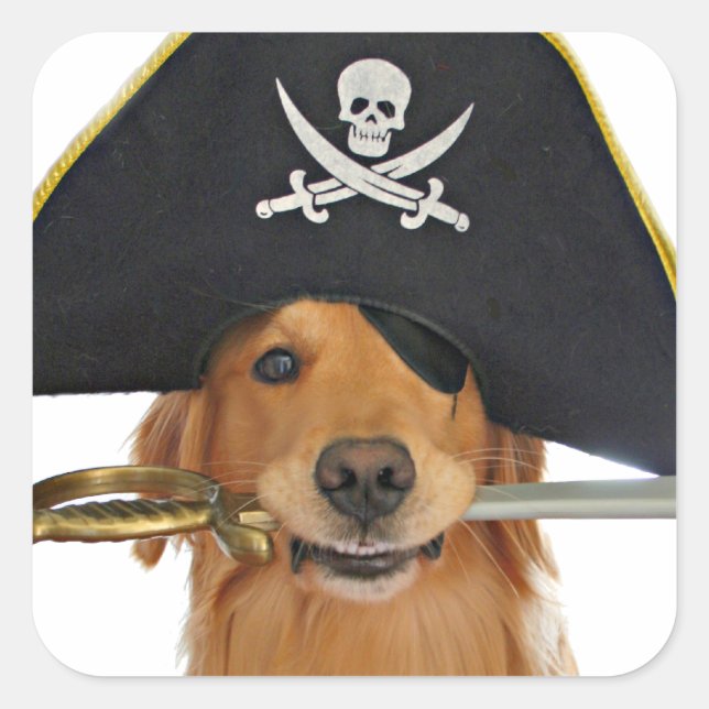 Golden Retriever Halloween Pirat Fyrkantigt Klistermärke (Framsida)