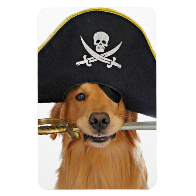 Golden Retriever Halloween Pirat Magnet (Vertikal)