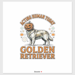 Golden Retriever Halloween Pumpa Hund Kostym Tröja Klistermärken