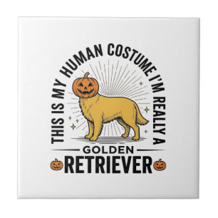 Golden Retriever Halloween Pumpa Kostym Design_ Kakelplatta