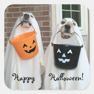 Golden Retriever Halloween Spöken Fyrkantigt Klistermärke