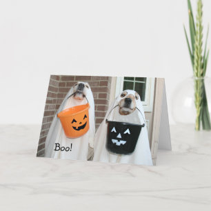 Golden Retriever Halloween Spöken Kort