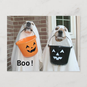 Golden Retriever Halloween Spöken Vykort