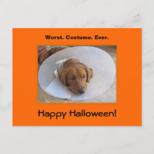 Golden Retriever Halloween-vykort Vykort