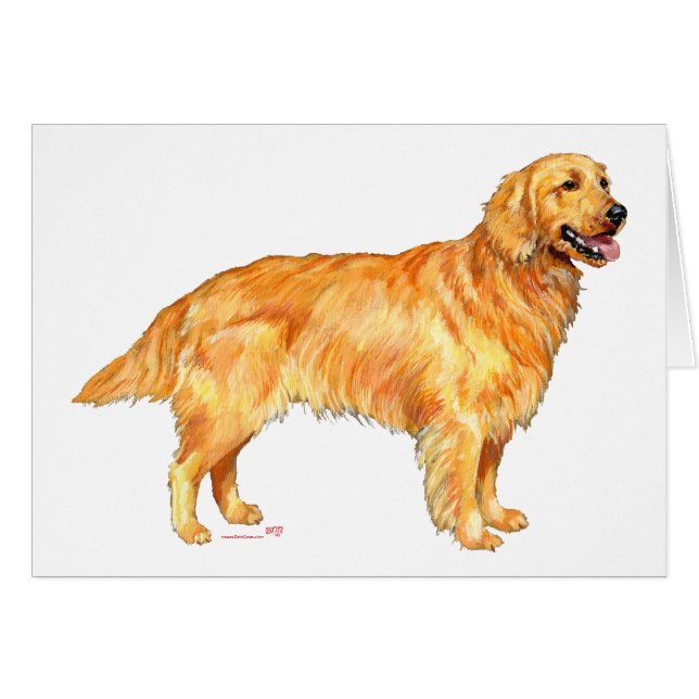 Golden Retriever Hälsningskort (Framsidan Horizontal)