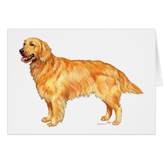 Golden Retriever Hälsningskort (Framsidan Horizontal)