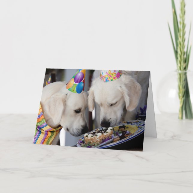 Golden Retriever-hälsningskort Kort (Framsida)
