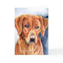 Golden Retriever-hälsningskort
