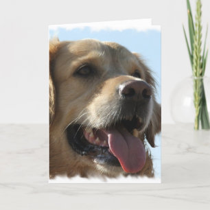 Golden Retriever-hälsningskort Kort