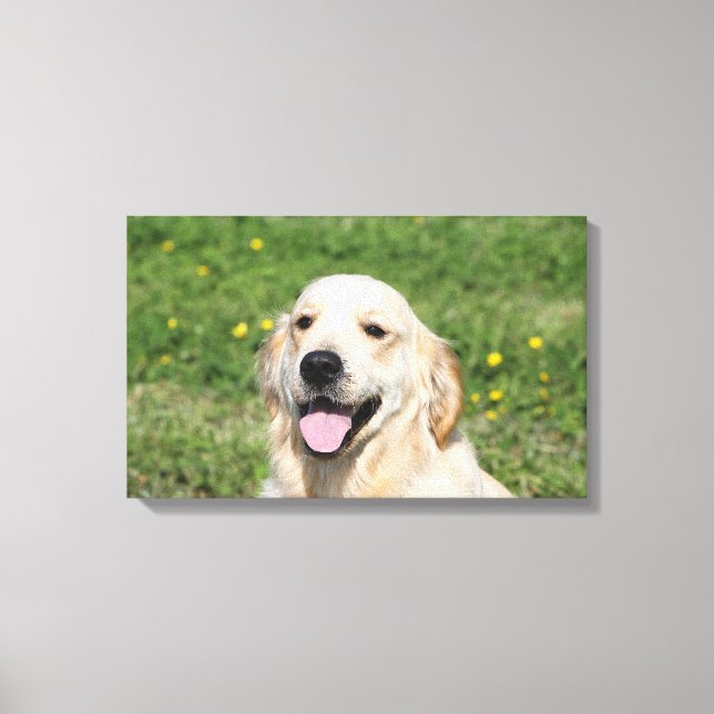 Golden Retriever Headshot 1 Canvastryck (Framsida)
