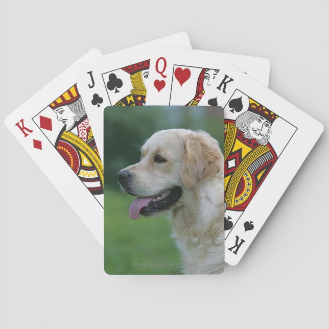 Golden Retriever Headshot 2 2 Spel Kort (Baksidan)
