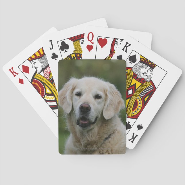 Golden Retriever Headshot 2 Spel Kort (Baksidan)