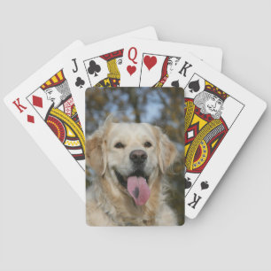 Golden Retriever Headshot 3 Spel Kort