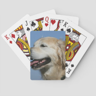 Golden Retriever Headshot 4 Casinokort