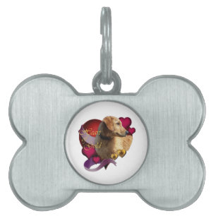 Golden Retriever Heart of Guld Namnbricka Husdjur