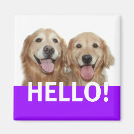 Golden Retriever Hej Magnet