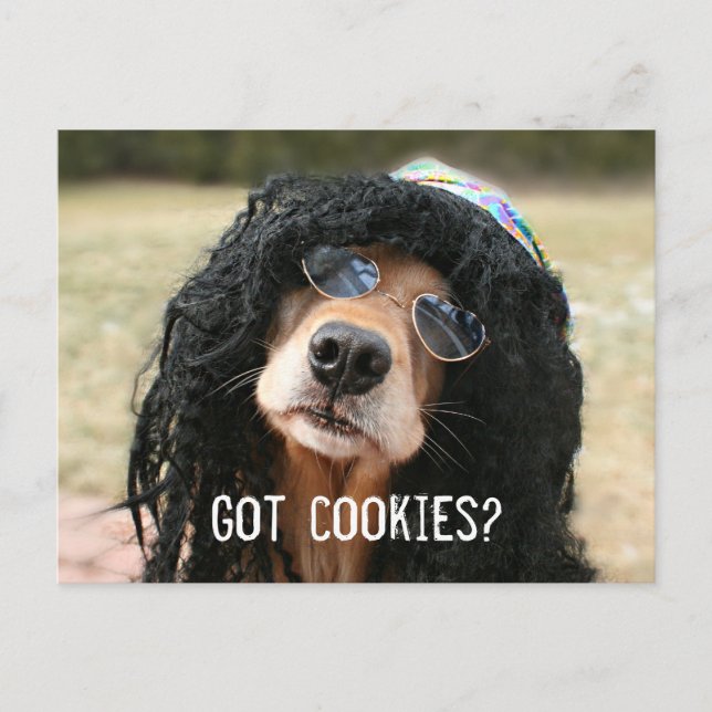 Golden Retriever Hippie "Har Cookies"? Vykort (Framsida)
