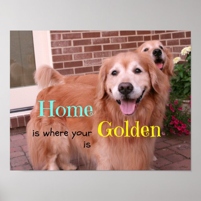 Golden Retriever Home Quote Poster (Framsidan)
