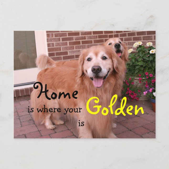 Golden Retriever Home Quote Vykort (Framsida)