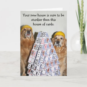 Golden Retriever House of Cards New Home Kort