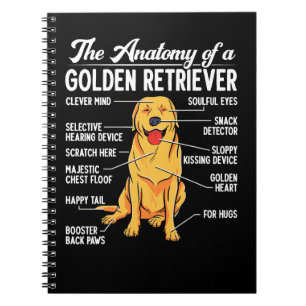 Golden Retriever-Hund anatomi hos en gyllene Retri Anteckningsbok