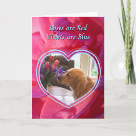 Golden Retriever Hund är mina favoritValentineser Kort