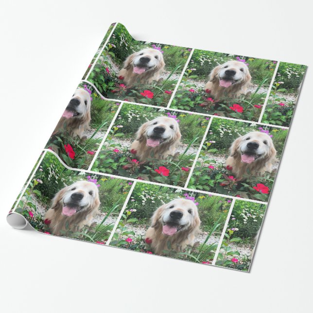 Golden Retriever Hund bland blommor, Tillfällen Presentpapper (Utrullad)