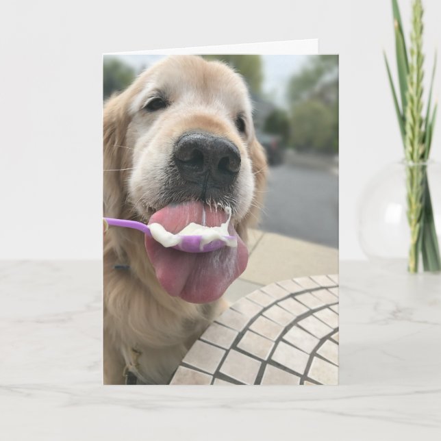 Golden Retriever Hund Det är alltid Ice Cream O'Cl Kort (Framsida)