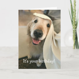 Golden Retriever Hund Din födelsedag Kort