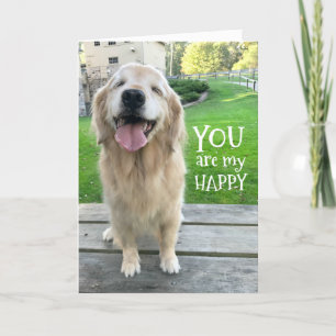 Golden Retriever Hund du är min Lycklig Kort