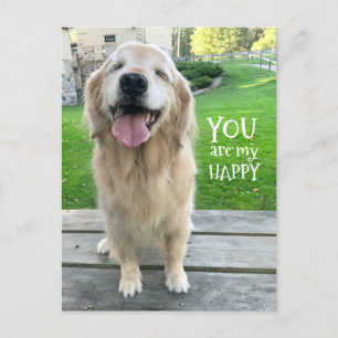 Golden Retriever Hund du är min Lycklig Vykort