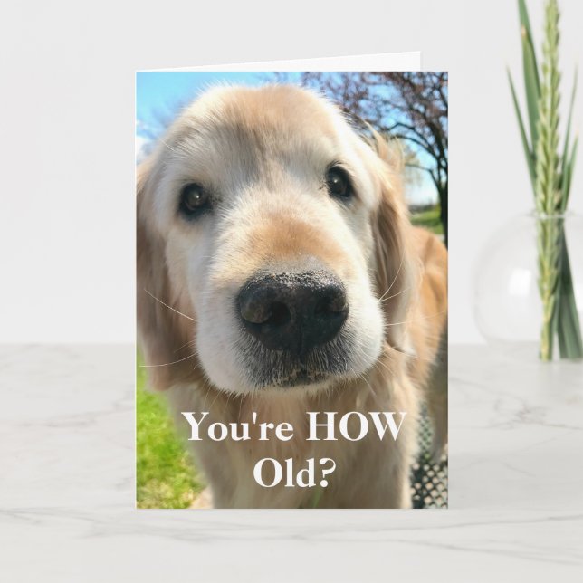Golden Retriever Hund Du är så gammal födelsedag Kort (Framsida)