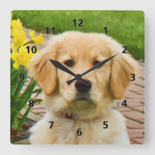 Golden Retriever Hund Fyrkantig Klocka