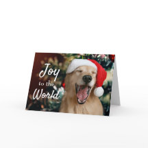 Golden Retriever Hund Glädje till världen jul