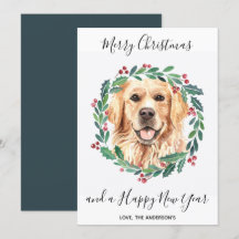 Golden Retriever Hund God jul