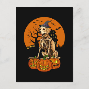 Golden Retriever Hund Halloween Helg Vykort