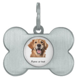 Golden Retriever Hund Husdjur Djur ID-bricka Husdjur